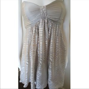 Strapless Express Dress